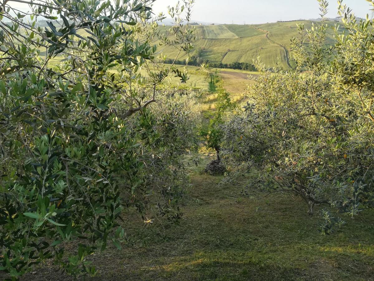 Villa Agriturismo La Ruelle Atessa Exterior foto